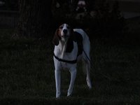 IMG_0932.JPG