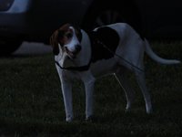 IMG_0934.JPG