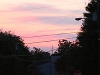IMG_0938.JPG