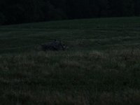 IMG_0962.JPG