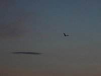 IMG_0987.JPG