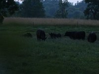IMG_1009.JPG