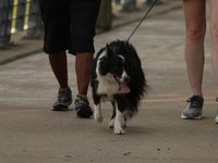 IMG_1037.JPG