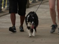 IMG_1038.JPG