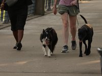 IMG_1041.JPG