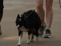 IMG_1042.JPG
