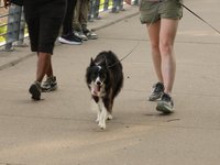 IMG_1043.JPG