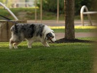 IMG_1083.JPG