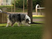IMG_1085.JPG