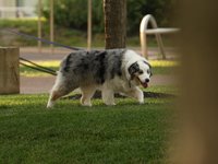 IMG_1086.JPG