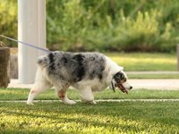 IMG_1091.JPG