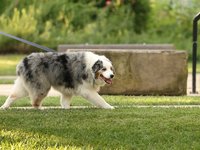 IMG_1094.JPG