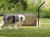 IMG_1096.JPG