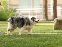 IMG_1099.JPG