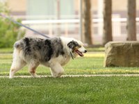 IMG_1100.JPG