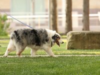 IMG_1101.JPG