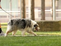 IMG_1103.JPG