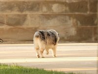 IMG_1106.JPG