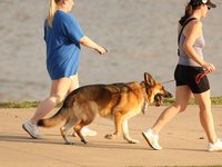 IMG_1119.JPG