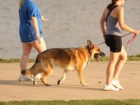 IMG_1121.JPG