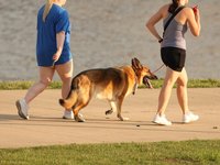 IMG_1130.JPG