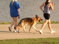 IMG_1131.JPG