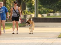IMG_1149.JPG