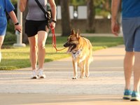 IMG_1153.JPG