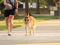 IMG_1155.JPG