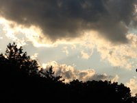IMG_1204.JPG