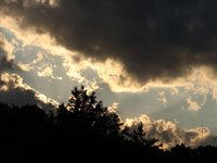 IMG_1205.JPG