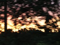 IMG_1238.JPG