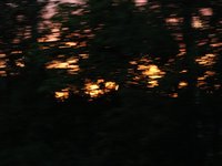 IMG_1239.JPG