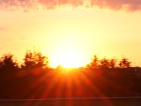 IMG_1247.JPG