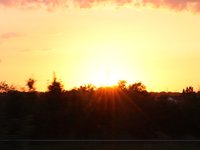 IMG_1248.JPG