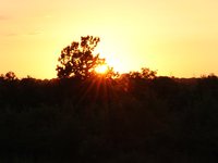 IMG_1251.JPG