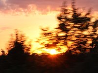 IMG_1252.JPG
