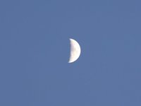 IMG_1333.JPG