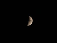 IMG_1348.JPG