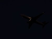 IMG_1349.JPG