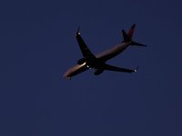 IMG_1353.JPG