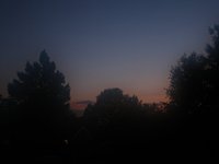 IMG_1361.JPG