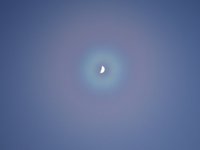 IMG_1365.JPG