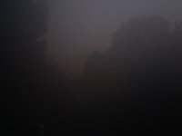 IMG_1366.JPG