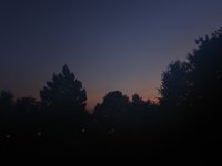 IMG_1372.JPG