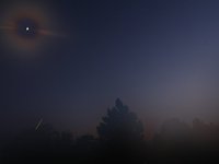 IMG_1395.JPG