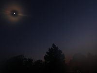IMG_1398.JPG